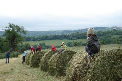 Heuballen erklimmen